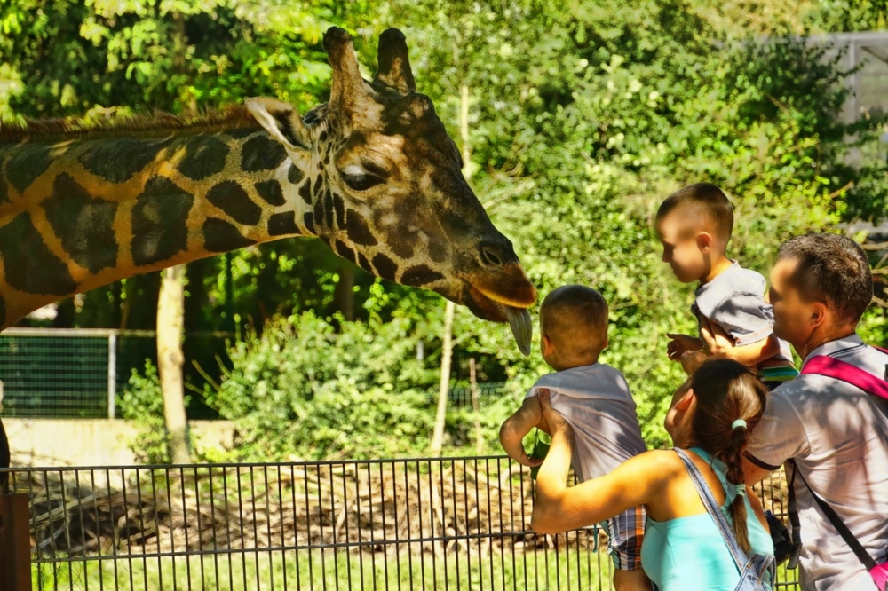 La Aurora Zoo